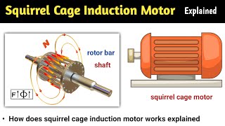 squirrel cage induction motor | squirrel cage rotor | squirrel cage induction motor in hindi | rotor