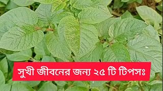 সুখী জীবনের জন্য ২৫ টি টিপস || Meherpur Live