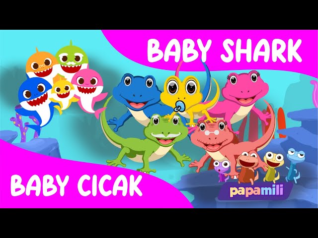 Baby Shark Versi Cicak Cicak di Dinding ( Baby Cicak ) - Lagu Anak Indonesia Populer class=