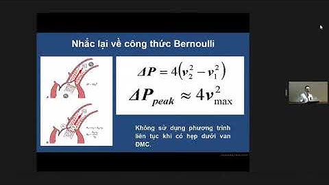 Siêu âm van động mạch chủ | PGS. TS. BS. Lê Minh Khôi