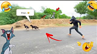 Fake small gorilla vs dog prank funniest dogs scared try to not laugh boom fun tv