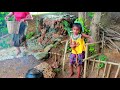 Primitive Life Village - Mother catches Duck eggs cook - Cute baby monkey Eating delicious eggs