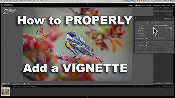 How to PROPERLY Add a VIGNETTE (Lightroom Tutorial)