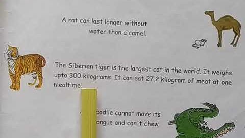 Std  6, Eng  Sem 2, Unit 2, A Ship Can Walk, Activit  1A,B, 2, 3A,B, 4A,B