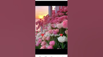 اكتب في التعليقات شيء تؤجر عليه🙂 اكتبوا اسم القارئ في التعليقات😊