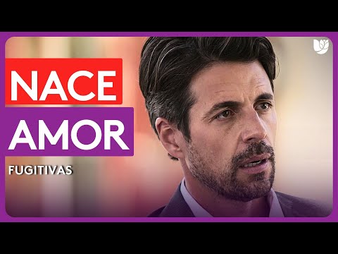 Lorena E Ismael Se Enamoran Al Verse Por Primera Vez Fugitivas Capítulo 1 Lorena E Ismael Se Enamoran Al Verse Por Primera Vez Fugitivas Capítulo 1