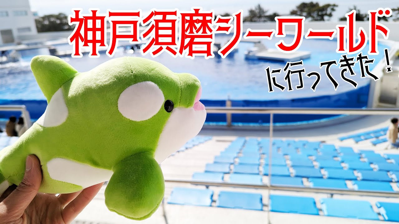 これだけは絶対やって！神戸須磨シーワールドの楽しみ方と注意点