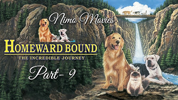 Homeward Bound part -9 || Hollywood Movies || Comedy Movies || Dog