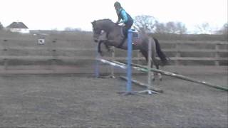 1st Show and gridwork lesson
