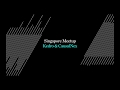 Singapore Virtual Meetup - Kedro &amp; CausalNex