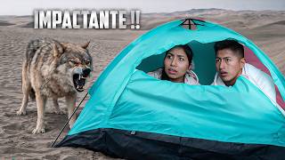 ACAMPAMOS EN EL DESIERTO (terminó mal) - Ni Q' Fuera TV, Karito La Tóxica