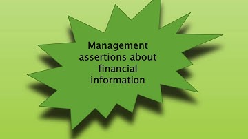 Chapter 6:Audit Responsibilities and Objectives