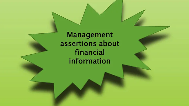 Chapter 6:Audit Responsibilities and Objectives