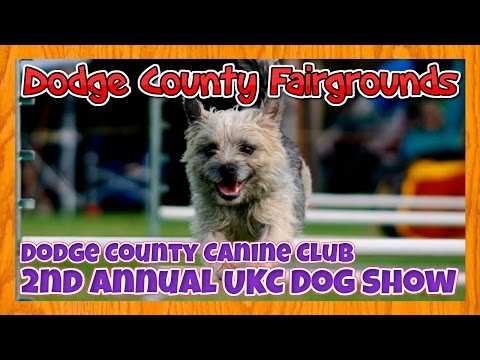 Dodge County Canine Club 2nd Annual UKC Dog Show Beaver Dam Wisconsin