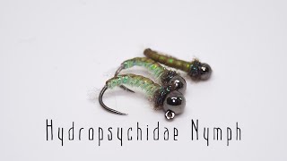 Hydropsychidae  Caddis nymph