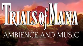 Trials of Mana Epic Music & Ambience | Mana Tree Forest Setting