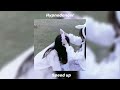 Hypnodancer Speed Up Song