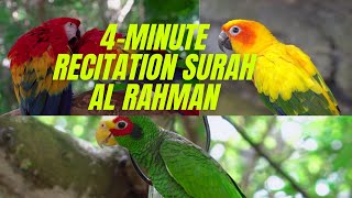 Birds and surah Rahman recitation #quranwithzuhair screenshot 3