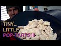 TINY Little POP-TARTS from the 90's?!