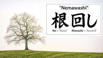Nemawashi - getting to faster agreement?