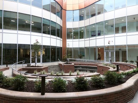 Ross Street Elementary School Overview