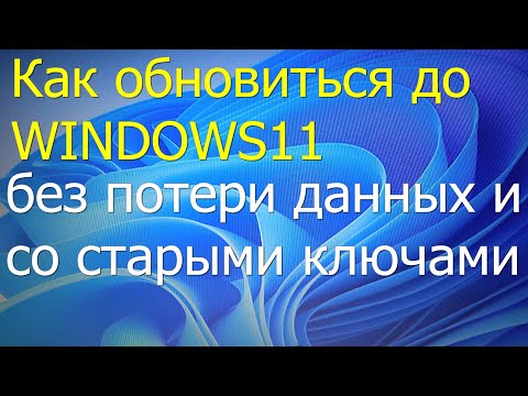 Как легко обновиться до Windows 11 без потери данных