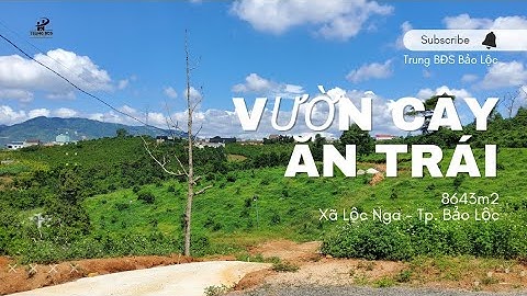 #33 Vườn cây ăn trái Lộc Nga - Bảo Lộc. Thích hợp cho mọi người một không gian nghỉ dưỡng lý tưởng.