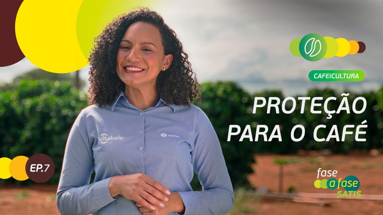 Café: Proteção para o café - Episódio 7 - Fase a Fase Satis