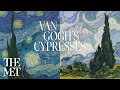 Exhibition tourvan goghs cypresses  met exhibitions