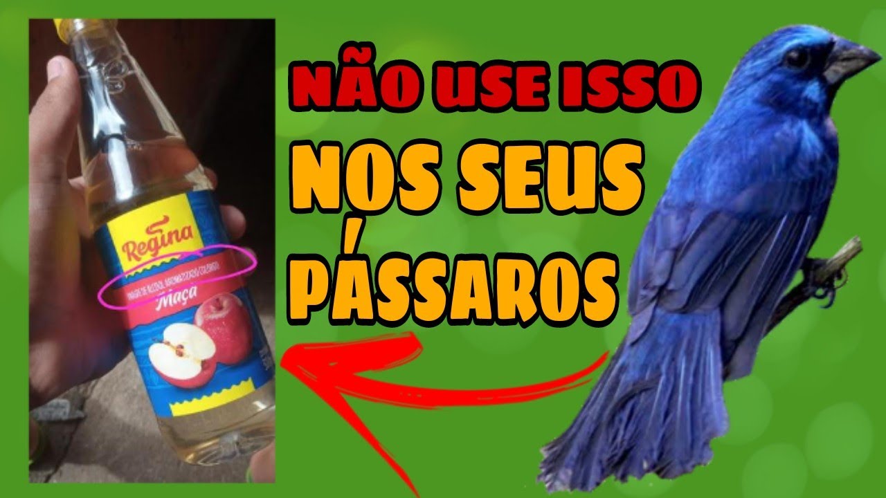 Qual o vinagre de maçã correto para os pássaros?cuidado você pode estar sendo enganado