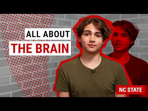 Study Smart: Understanding Metacognition - YouTube