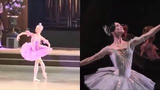 リラの精とオーロラ姫のV、コレゴワ＆ノヴィコワ「眠れる森の美女