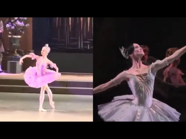 リラの精とオーロラ姫のV、コレゴワ＆ノヴィコワ「眠れる森の美女