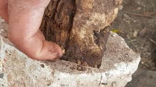 Why We Use Post Saver Sleeves ?