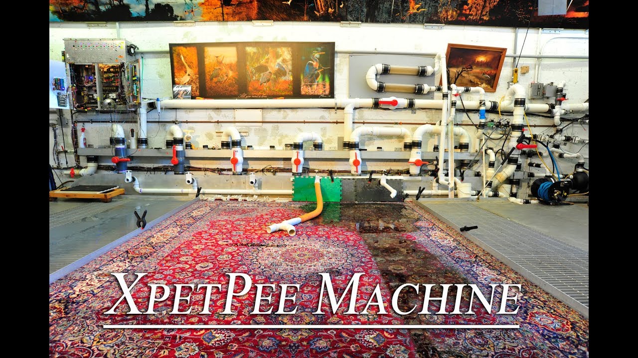 21st century oriental rug cleaning machine YouTube