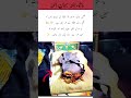 The Blessed Nalayn Shareef of Prophet Muhammad (PBUH) | Heart-Touching Ziyarat