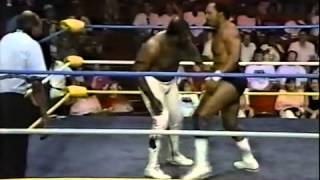 NWA '89 - Junkyard Dog vs. Ron Simmons - YouTube.flv