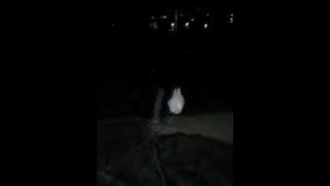 Covered in silly string