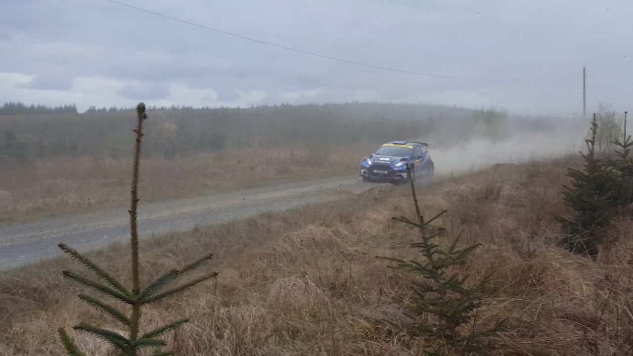Pirelli rally BRC 2017 Citroen R5