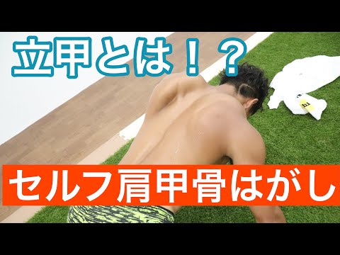 【なんじゃこれ！？立甲とは！】セルフ肩甲骨はがしで肩こり知らず！