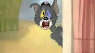 Download Lagu Tom Says Don't You Believe It While I Playing Unfitting Music MP3