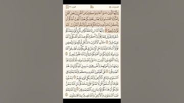 سورة الحجرات كاملة - القارئ محمد اللحيدان - القرآن الكريم