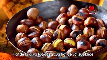 Tác dụng của hạt dẻ đối với sức khỏe || Sức Khỏe Mỗi Ngày