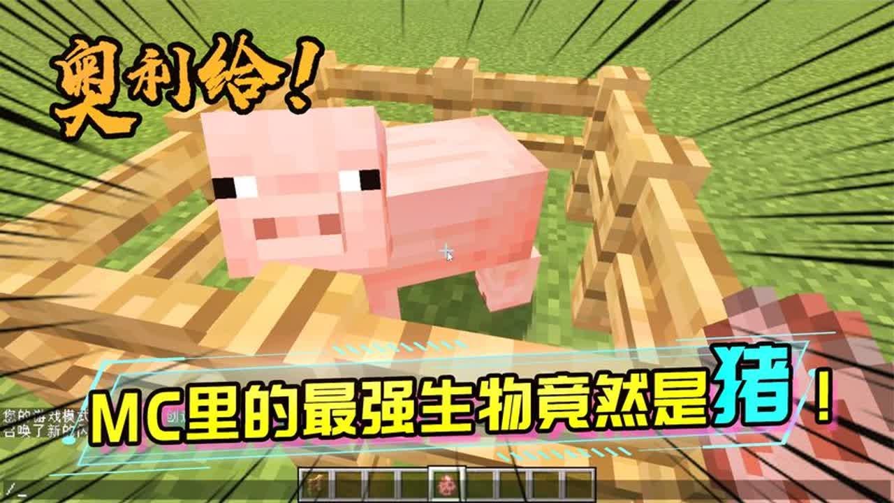 MC里的猪才是万物起源?是MC隐藏的最强生物? - YouTube