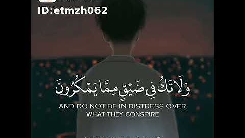 ايات من القرآن الكريم