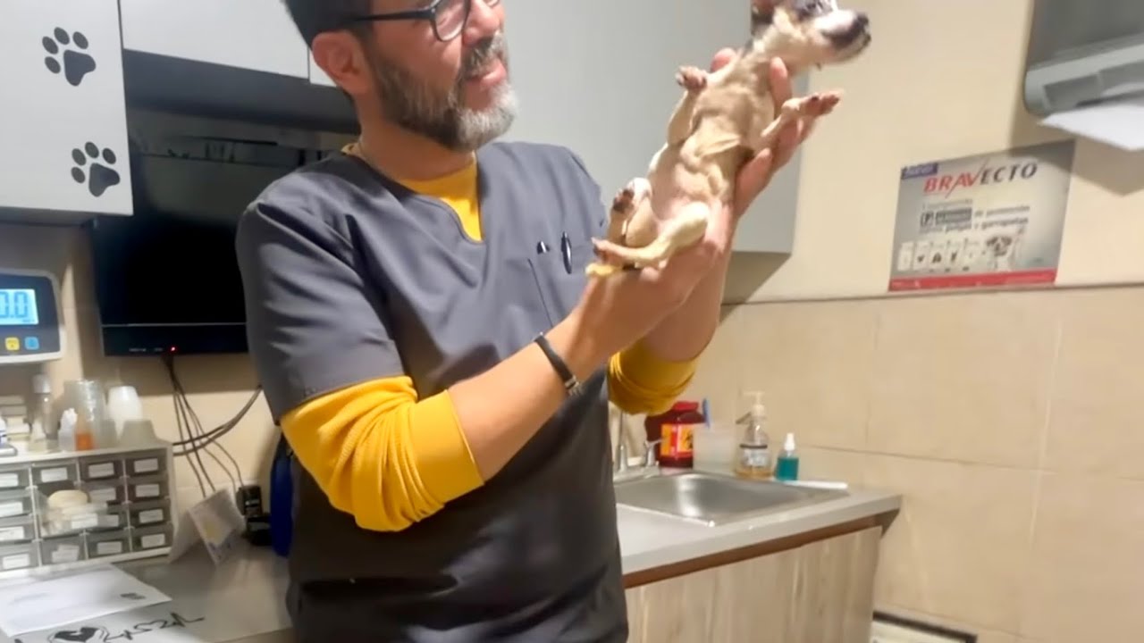 El doctor no puede creee lo que ve 