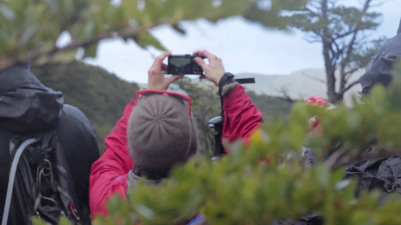 Glacier Trekking on Osorno Volcano