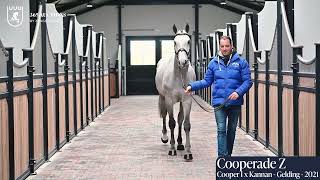 Cooperade Z