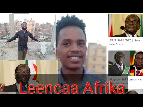 Leencaa Gurachaa Afrikaa