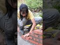 Girl builds rural fish pond~so awesome丨林果儿